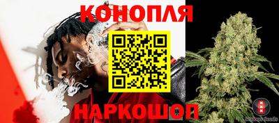 шишки Краснознаменск